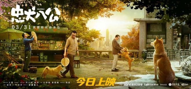 《忠犬八公》感动献映！五大看点揭重磅情感炸弹