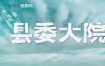 专访 | 胡歌《县委大院》收官，收视第一靠什么？
