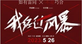 《我经过风暴》定档5.26 佟丽娅演绎被家暴的女人