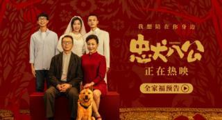 《忠犬八公》曝预告 小狗眼里我们永远是一家人！