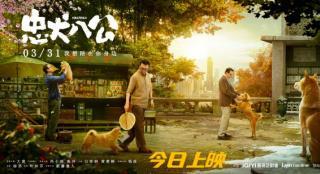 《忠犬八公》感动献映！五大看点揭重磅情感炸弹