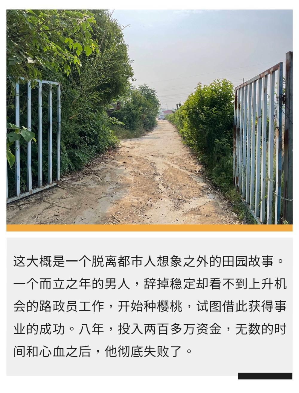 30岁辞掉工作去种地，8年后他中年破产