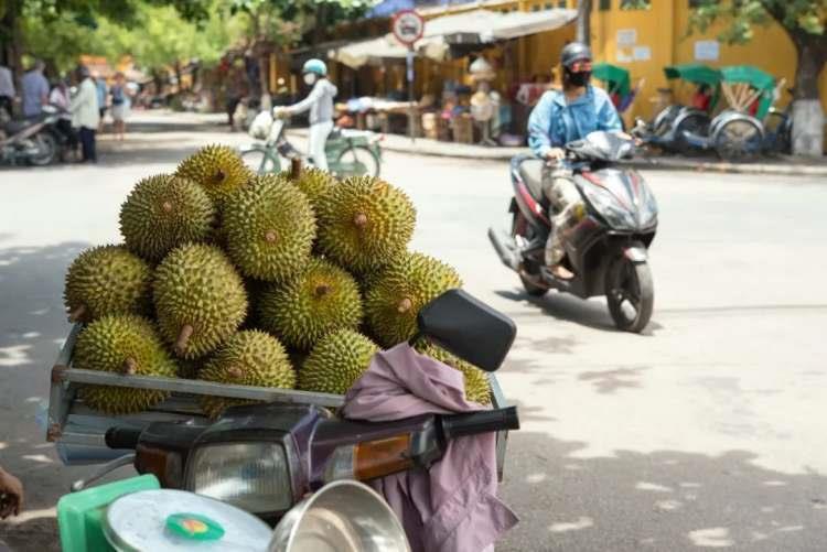 网红水果之王，闻一下都觉得贵