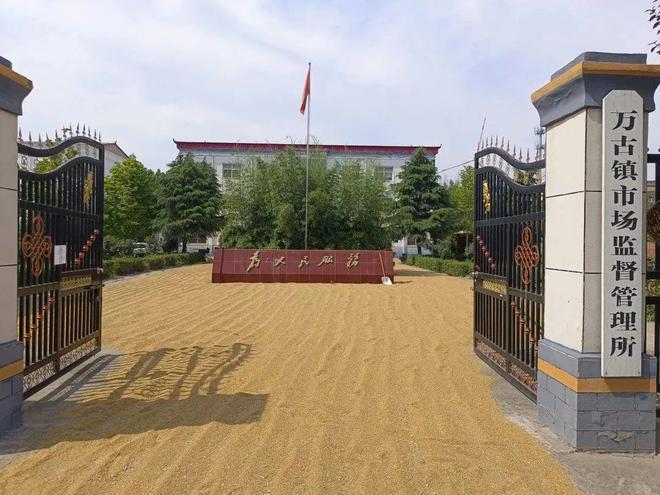 “能不开车就不开车”,河南山东多地政府敞开大门让农民晒粮