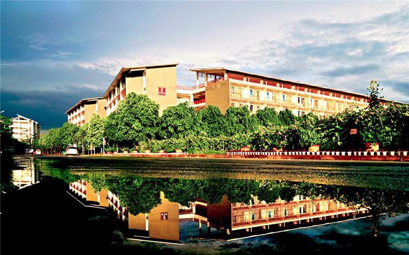 校园美景4