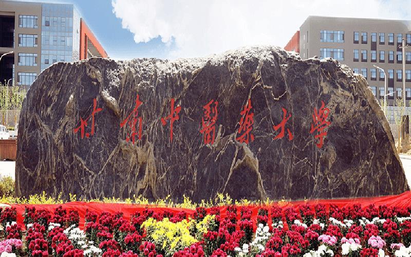 校门