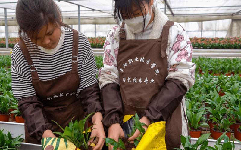园艺专业学生在安徽农之源花卉生产实践