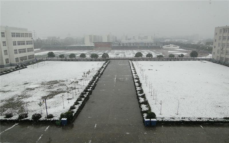 雪景3