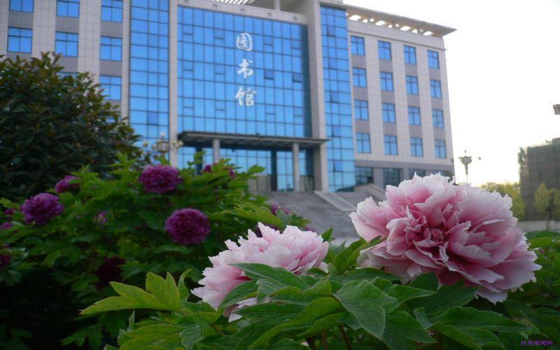 图书馆