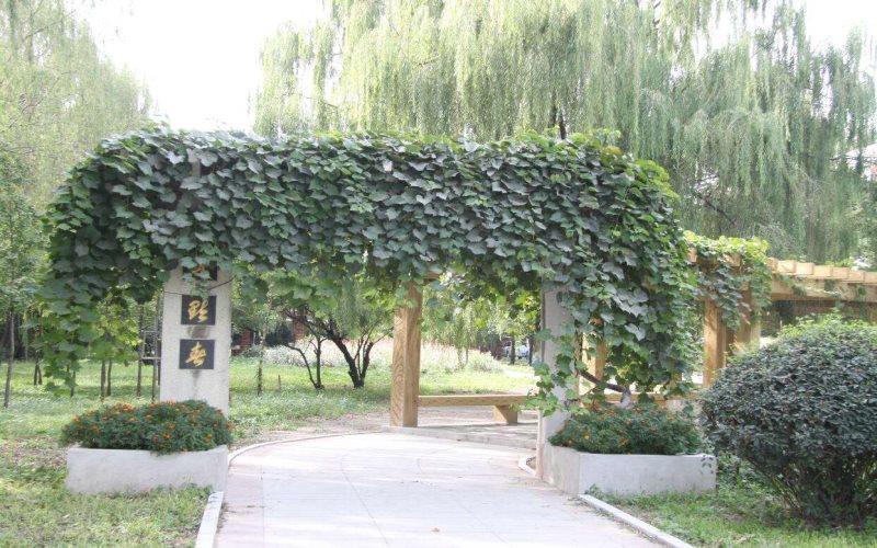 校园风光3