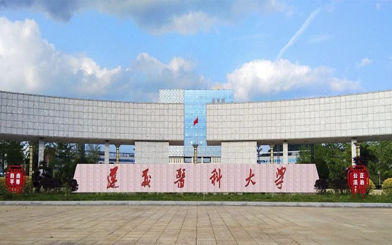 校园风景8