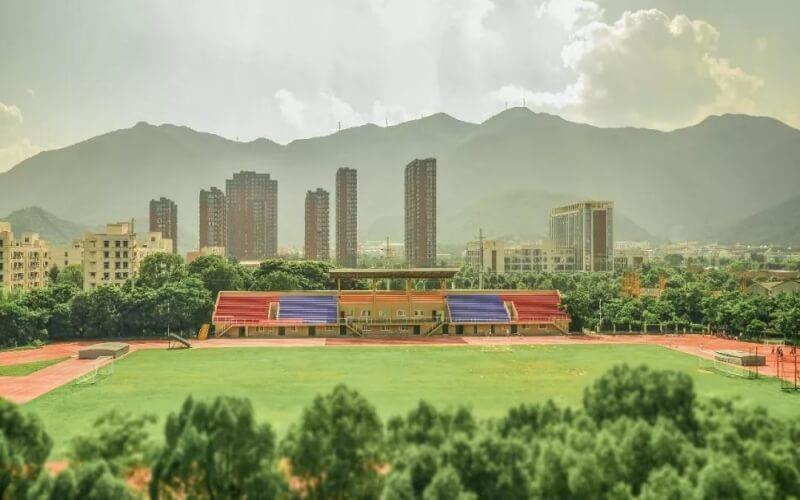 运动场