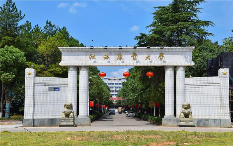 校门