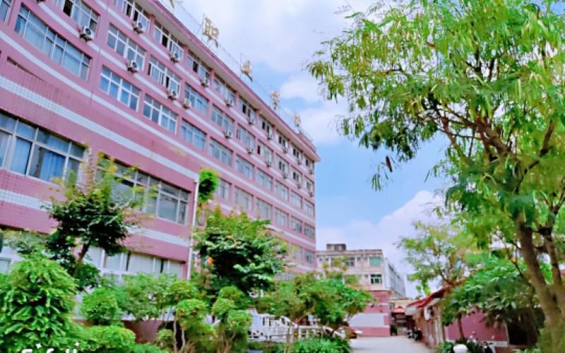 校园风光10