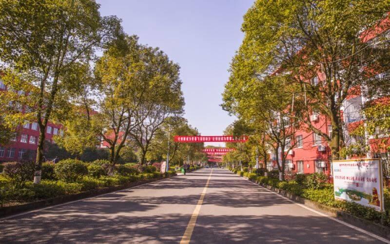学院大道