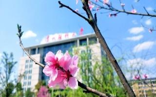 贵医照片2