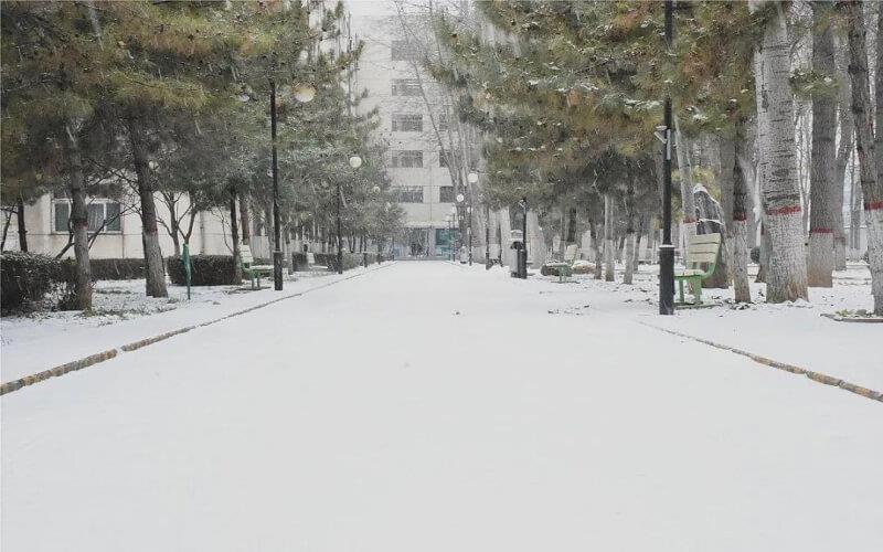 雪景3