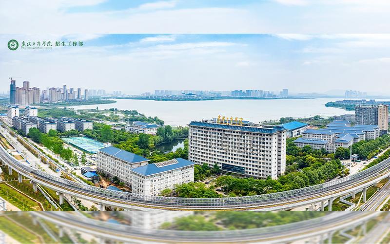 学校全景