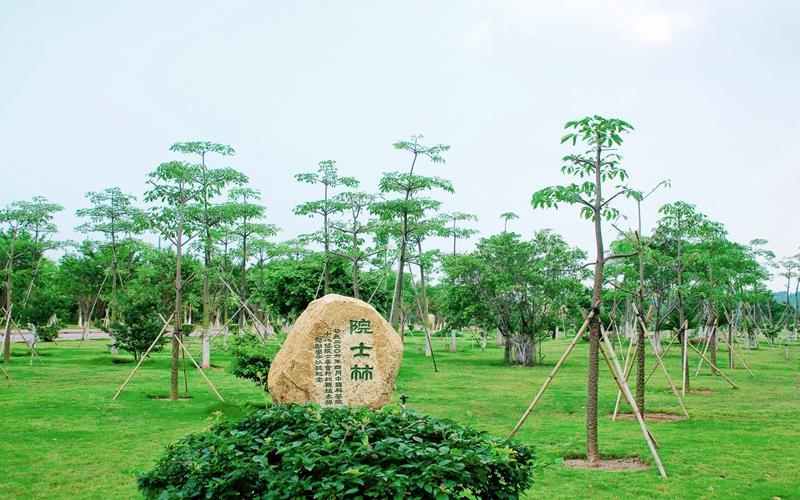院土林