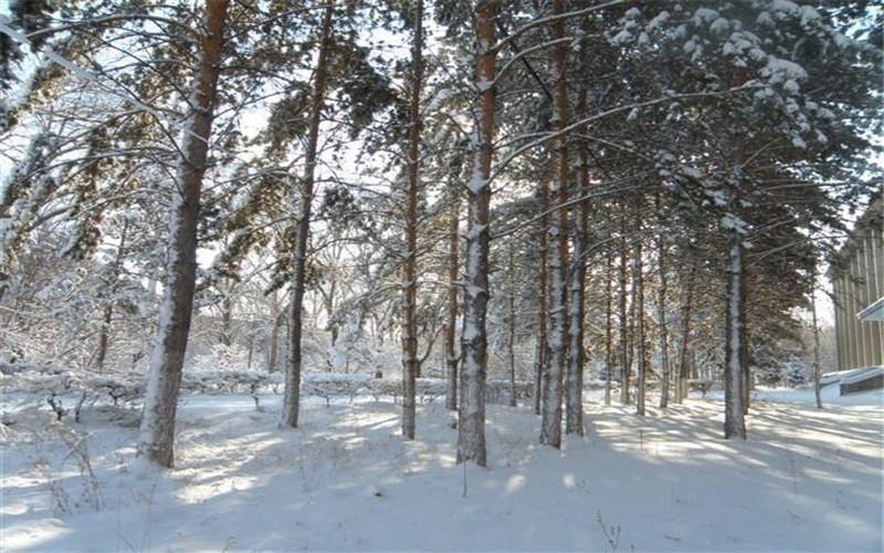 齐齐哈尔理工职业学院--校园雪景2