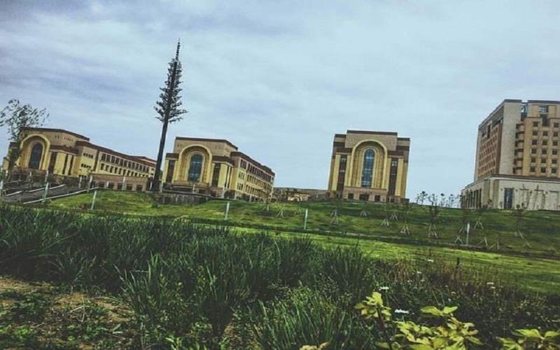 师范大学4