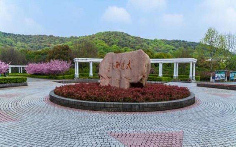 校园
