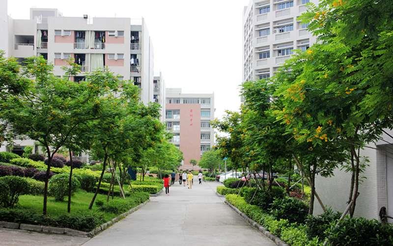 校道