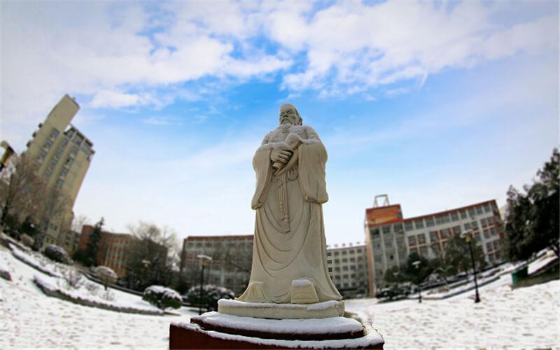 白雪皑皑