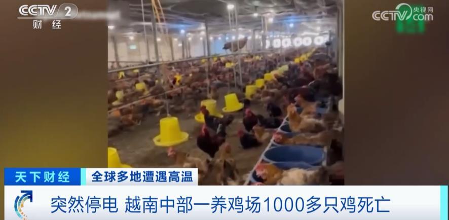 越南严重缺电,富士康、三星等工厂受影响,时隔7年我国重启对越送电