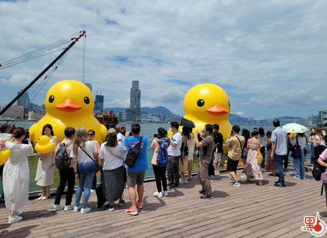 台湾情报机构在港物色间谍？丨香港一日