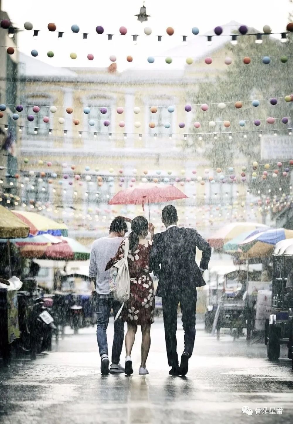 2023年了,红白玫瑰设定还流行吗?