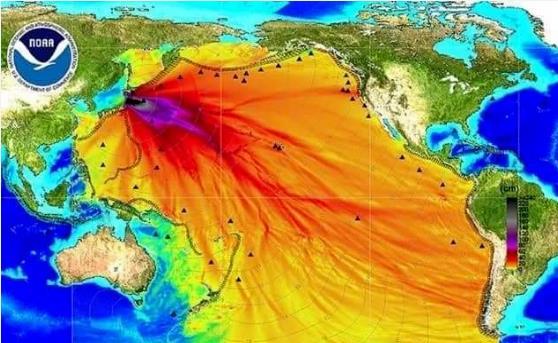 五问“核废水排海”：日本欠全世界一个交代