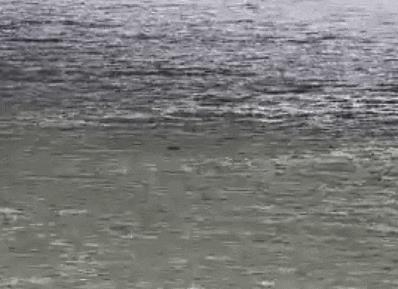 十余米高桥跳下救人小哥:当时真的有点怂