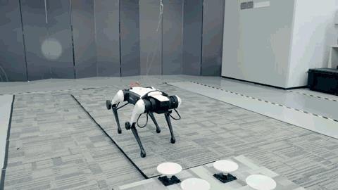 热搜大全机器人最新动态：跟真狗学“奔跑跳跃”