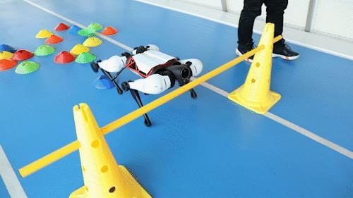 热搜大全机器人最新动态：跟真狗学“奔跑跳跃”