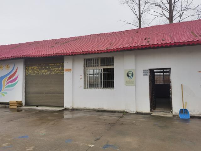 湖北随县博爱特校性侵案调查