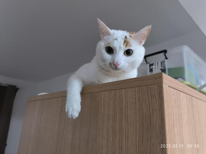 对话上海地震瞬间护女友的男子：恋爱六年，计划十月份结婚