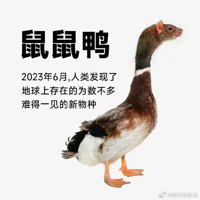 江西联合调查组通报鼠头鸭脖事件
