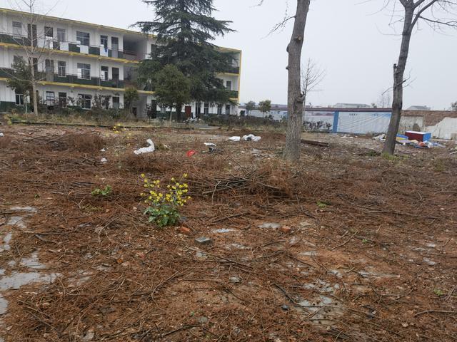 湖北随县法院发布博爱特校刘某某强制猥亵案情况说明