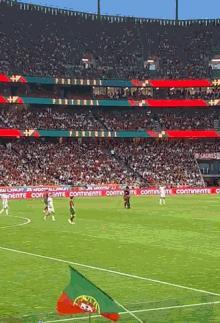 还原球迷冲场全过程：跪拜C罗举高高 一起做SIU 遭偶像摸头杀