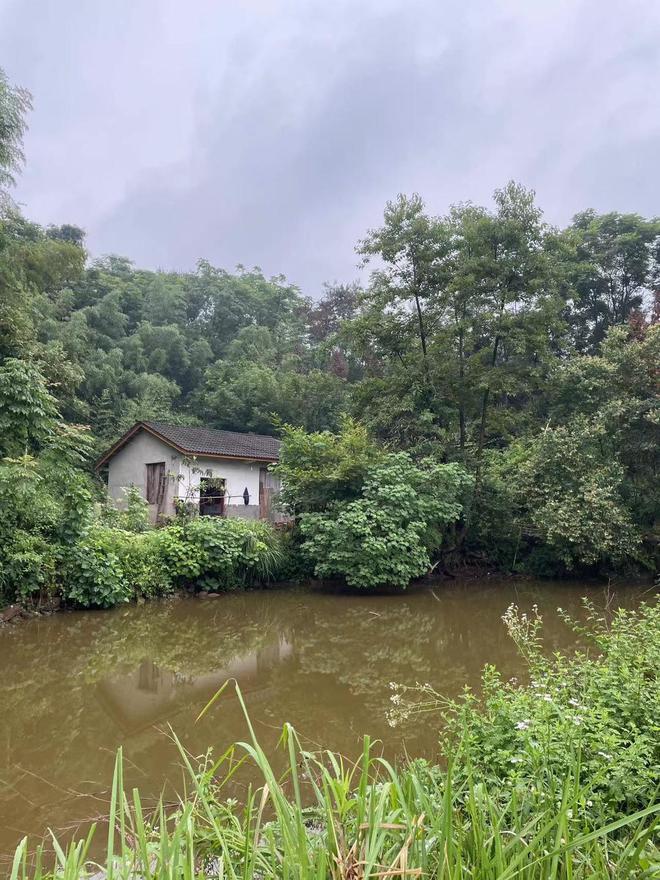 湖南九旬独居老太花十万元“打活葬”:“这次搞了,走的时候简单点”