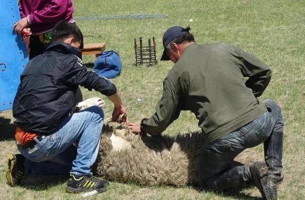 65寸平板大彩电折价不如5元的鼠标,羊毛党盯上家电以旧换新