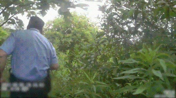 男子杭州绿化带迷路3天,吃野花求生,网友:遇到鬼打墙了?