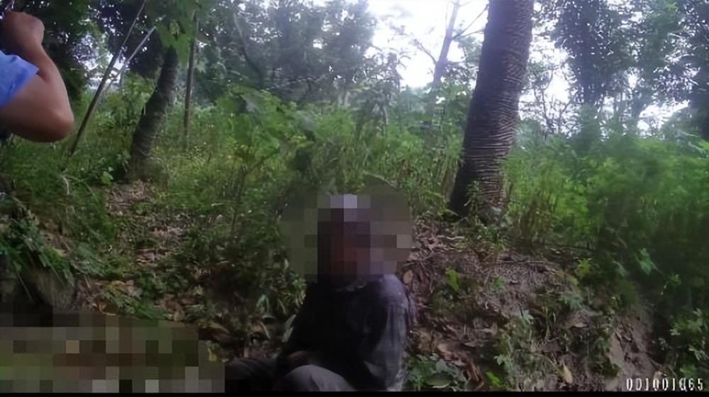 男子杭州绿化带迷路3天,吃野花求生,网友:遇到鬼打墙了?