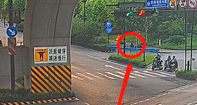 杭州园林部门回应“男子在绿化带迷路被困3天”：草木会及时修剪，事发地或为未开发区域