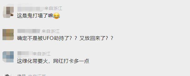 男子出门买早饭，结果在绿化带迷路3天！靠吃野花、喝露水求生