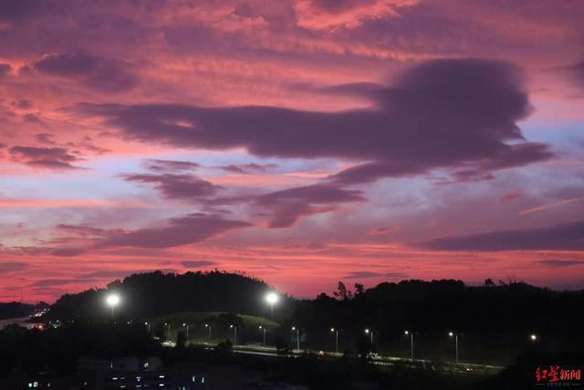 12岁儿子坠楼后,经济学家宋清辉困在“迷宫”里