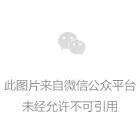 俄国防部呼吁“瓦格纳”成员不要参与叛乱