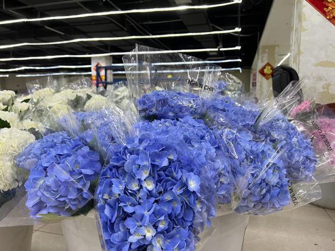 最畅销国产绣球花的官司打进最高院,侵权最终伤了谁