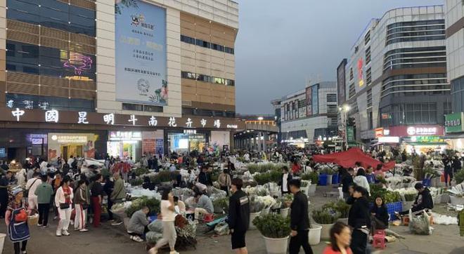 最畅销国产绣球花的官司打进最高院,侵权最终伤了谁